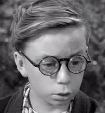 Tiger Fafara and Stanley Fafara were brothers in real life. Tiger played  Tooey Brown (one of Wally's friends) and Stanley played Whitey Whitney (one  of Beaver's friends). However, did you notice that