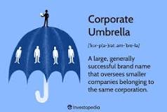 Corporate Umbrella: Overview, Disadvantages