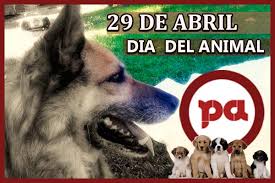 29 de abril dìa del animal. Dia Del Animal 2021 Imagenes Y Frases Para El 29 De Abril