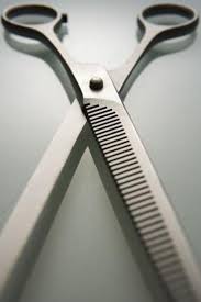 If you have shorter hair you will likely have fewer sections. Pin On Bright Shiny Things