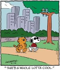 10 Health Cliff Ideas Heathcliff Comic Strips Cartoonist Now written and drawn by gately's nephew, peter gallagher, it is distributed to over 1,000 newspapers by creators syndicate. 10 health cliff ideas heathcliff