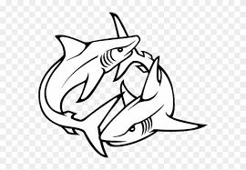 Discover the universal sign of danger at the beach with the top 20 best shark fin tattoo designs for men. Tribal Shark Tattoos Designs 07 1 Shark Tattoo Drawing Free Transparent Png Clipart Images Download