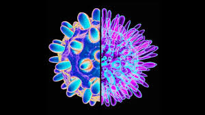 Hepatitis means inflammation of the liver. What To Do When It S Both Hepatitis B And C Everyday Health