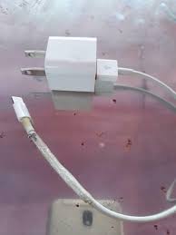 If nothing appears after 30 seconds of holding either the battery is not charging, it's dead, or the phone has a hardware problem. Teenager Dies After Being Electrocuted By Her Iphone Charger While She Slept Techspot