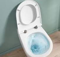 Universo TwistFlush - Il WC con scarico a vortice per ...
