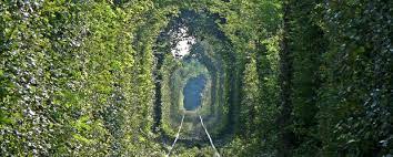 Mogosoaia palace, bucharest 5:46 20. Locuri De Vizitat Romania AflÄƒ Ultimele NoutÄƒÈ›i Despre Locuri De Vizitat Romania Poze È™i Video Locuri De Vizitat Romania DiscuÈ›ii In Forum Despre Locuri De Vizitat Romania