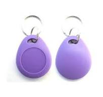 Smart ABS Access Control Keyfob - Animal RFID Products ...