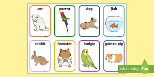 Akwaeke emezi makes their young adult debut with pet on the inaugural make me a world list. Pet Flashcards Teacher Made
