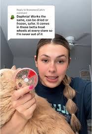 Alexandra Fern's Instagram, Twitter & Facebook