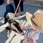 8/20 Discovery Thursday - Barnyard Week