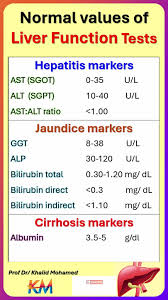 Image result for Liver Function Test