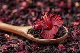 Image result for Hibiscus