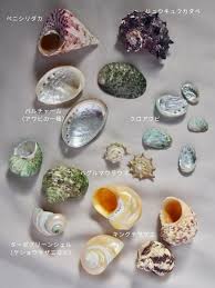 アワビ 貝殻 アクセサリー 作り方