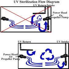 Aquarium Flow Pattern With Uv Aquarium Aquarium Landscape Aquarium Filter