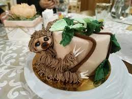 May you succeed in every race of the life. My Birthday Cake Sloths