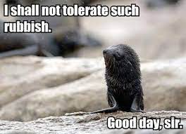 Good day sir i said good day. Animal Comedy Good Day Sir Animal Comedy Animal Comedy Funny Animals Animal Gifs Cheezburger