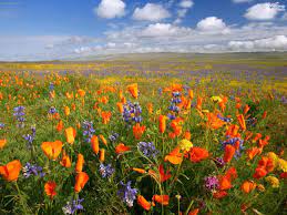 Maybe you would like to learn more about one of these? Julia Breitenbach Obituary Fort Lauderdale Fl