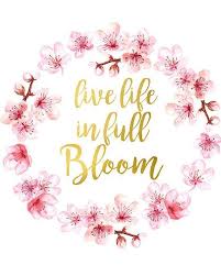 Live Life In Full Bloom Print Inspirational Quote Prints Etsy Flower Quotes Inspirational Quote Prints Flower Quotes Inspirational