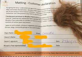 We used monkey brains, and the knot genie. The Problems Of Matted Hair
