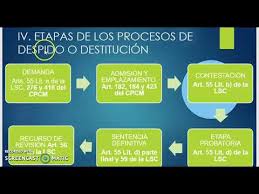 La sfârșitul paginii sunt modele pentru descărcat ale deciziei de incetare contract conform art. Clase 4 Video 1 Etapas Procesales Art 55 Ley De Servicio Civil De El Salvador Youtube
