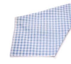Light Blue Gingham Napkin