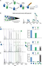 Native Mass Spectrometry Can Effectively Predict Protac