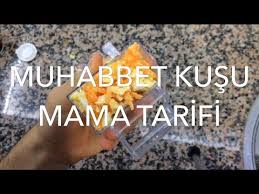 Muhabbet Kusu Icin Yemlik Nasil Yapilir Dogadaki Hali Budgerigar Youtube