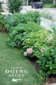 We did not find results for: How To Turn Your Pink Hydrangeas Blue