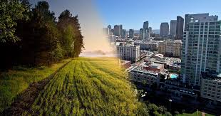 Is that countryside is a rural landscape while city is a large settlement, bigger than a town. Rural Vs Urban Living Budgets And Net Worth Wealth Meta