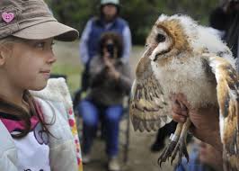 Owl chicks ready for their close-up