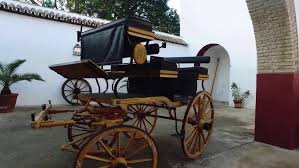 Image result for Atalaya alata