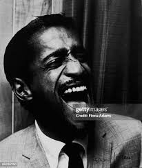 244 Fiona Adams Stock Photos, High-Res Pictures, and Images