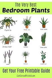 Dec 12, 2019 · 7 min read. Best Bedroom Plants For Better Sleep Get Green Be Well