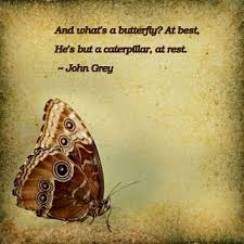 Butterfly Quotes About Life Quotesgram Butterfly Quotes Butterfly Kissing Quotes