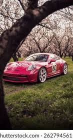 Image result for Ruby Star 2025 Porsche