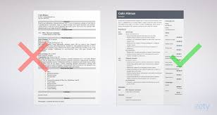 animator resume: example & writing