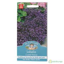Bunga lobelia terkenal karena bunga nya terlihat cantik dan varian warna nya yang beragam seperti ungu, merah, biru dan juga putih, bunga lobelia ini dapat tumbuh disegala musim, lobelia juga berbunga sepanjang hari. Benih Mr Fothergills Lobelia Crystal Palace Http Bibitbunga Com Benih Mr Fothergills Lobelia Crystal Palace Benih Tanaman Siklus Hidup