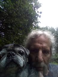 I purchased this boxwood stove. I need to know what is necessary to pipe  through roof. Needs to go through about 6 inches, plywood, insulation and  tin. For my shop