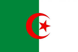 cezayir 313 yil algeria flag africa flag flags of the world