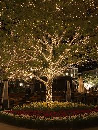 The Americana At Brand Hogar In 2019 Outdoor Fairy Lights Outdoor Lighting Outdoor