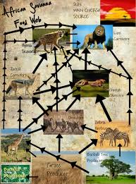 The soil food web is the community of organisms living all or part of their lives in the soil. African Grassland Food Web Biological Science Picture Directory Pulpbits Net