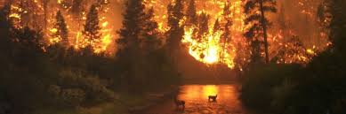Felhívták a figyelmet, hogy a tűzgyújtási tilalom idején tilos tüzet gyújtani a külterületi ingatlanokon fekvő erdőkben és fásításokban, valamint azok 200 méteres körzetében, ideértve a tűzrakóhelyeket. Orszagos Tuzgyujtasi Tilalom Lesz Holnaptol Nebih