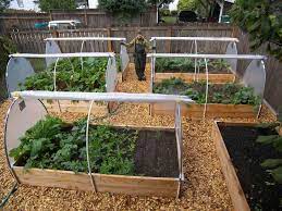12 Raised Garden Bed Tutorials Home Vegetable Garden Starting A Vegetable Garden Vegetable Garden Design