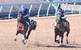 【ワンピースmad】コラソンとロー 二人物語。 【mad/スラムダンク】三井寿：俺はバスケの夢をわすれない、ずっと 世界が終わるまでは wands/ slam dunk アニメ/ 安西先生 バスケがしたいです/ 灌篮高手. Oybzdgm Zgt8em