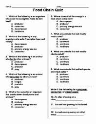 Food Chain Worksheet Pdf Unique Best 25 Food Chain Activities Ideas On Pinterest Chessmuseum Template L In 2020 Food Chain Food Chain Worksheet Food Chain Activities