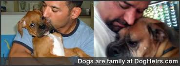 Do you know someone who could give Tyson a home?