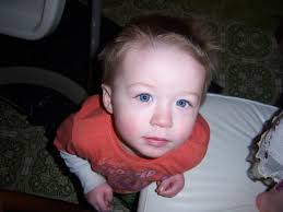 About Lewis Family Farm