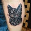 Cat eye eyeliner cat eye nails cat eye makeup cat eyes cat face tattoos cat tattoo animal tattoos grey tattoo hand tattoos. 1