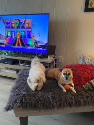 Patty Egan (@PattyGrg)