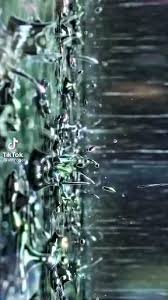 We now provide an app for downloading tiktok videos. Anime Aesthetics Live Wallpaper Source Volcogot From Tiktok Artofit